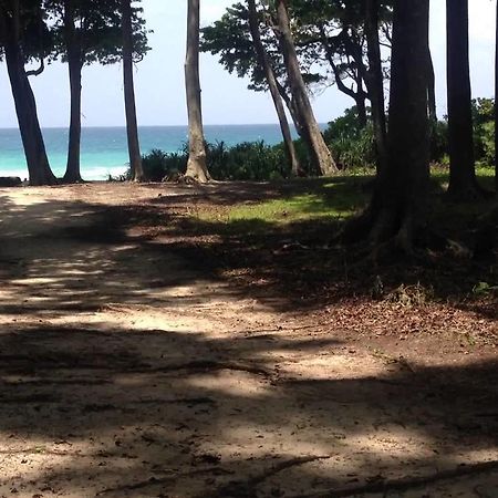 فندق بيرفوت آت هافلوك-هافلوك آيلاند Radhanagar beach المظهر الخارجي الصورة